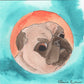 Little Animals With A Lot On Their Minds eBook