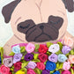 Bed of Roses - Original Pug Painting - 100 Paintings Unleashed no. 14