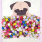 Bed of Roses - Original Pug Painting - 100 Paintings Unleashed no. 14
