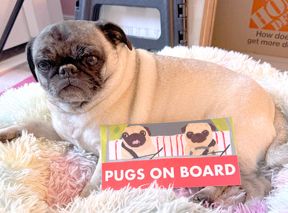 Pugs On Board - Vinyl Pug Bumper Sticker