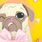 Coquette Pug - Original Pug Painting - 100 Paintings Unleashed no. 17