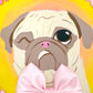 Coquette Pug - Original Pug Painting - 100 Paintings Unleashed no. 17