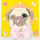 Coquette Pug - Original Pug Painting - 100 Paintings Unleashed no. 17