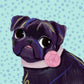 Custom Portrait of YOUR Pet!