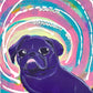 Hold On, Let Me Overthink It - Original Pug Painting - 100 Paintings Unleashed no. 25