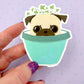 Planter Pug - Fawn Pug - Cute Pug Vinyl Sticker
