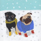 Snow Day - Original Pug Painting