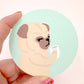 Resting Grouchy Face - Original Pug Painting - 100 Paintings Unleashed no. 31