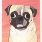 Sedona Pug Social Exclusive! Custom Sketch Portrait