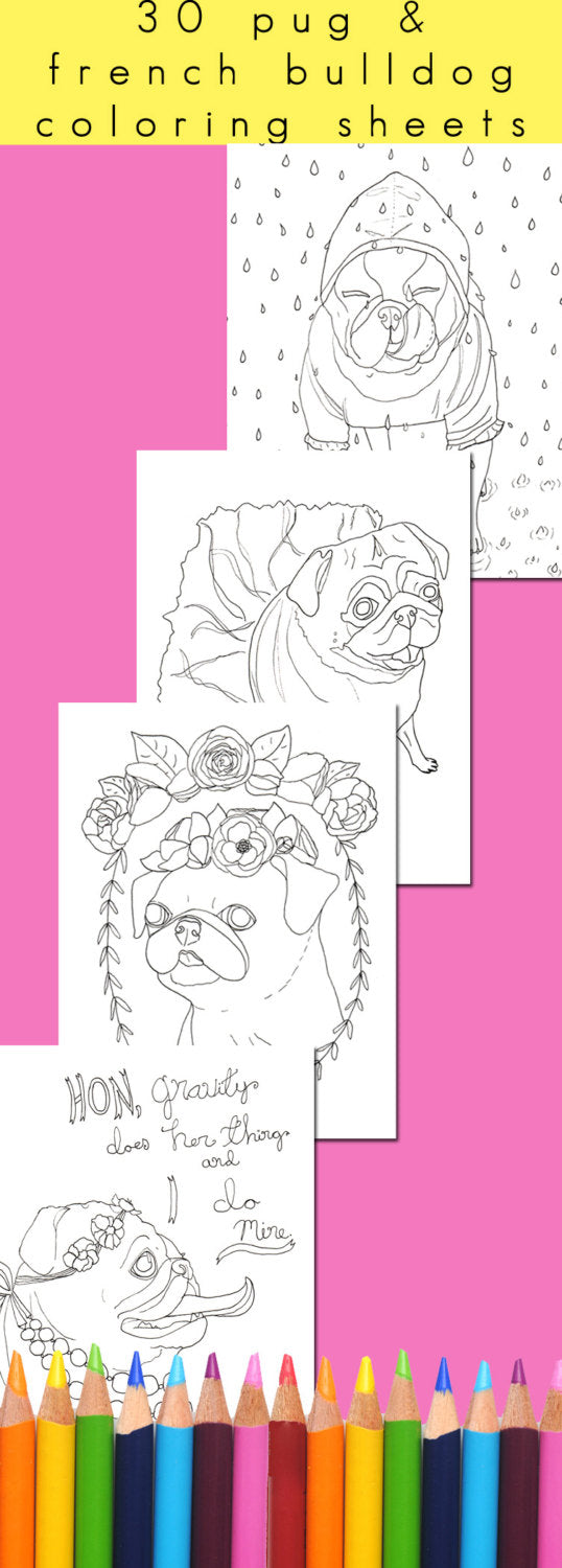 Special Limited Re-Release! Flat Faced Friends - Pug Adult Coloring Book - Signed - With Bonuses!