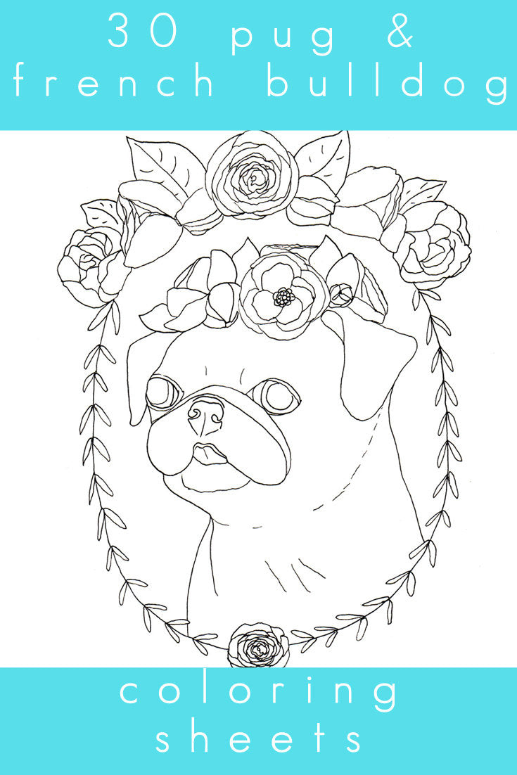 Special Limited Re-Release! Flat Faced Friends - Pug Adult Coloring Book - Signed - With Bonuses!