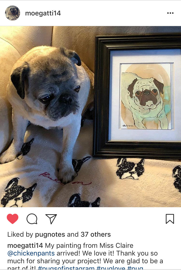 Sedona Pug Social Exclusive! Custom Sketch Portrait