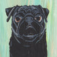 Sedona Pug Social Exclusive! Custom Sketch Portrait